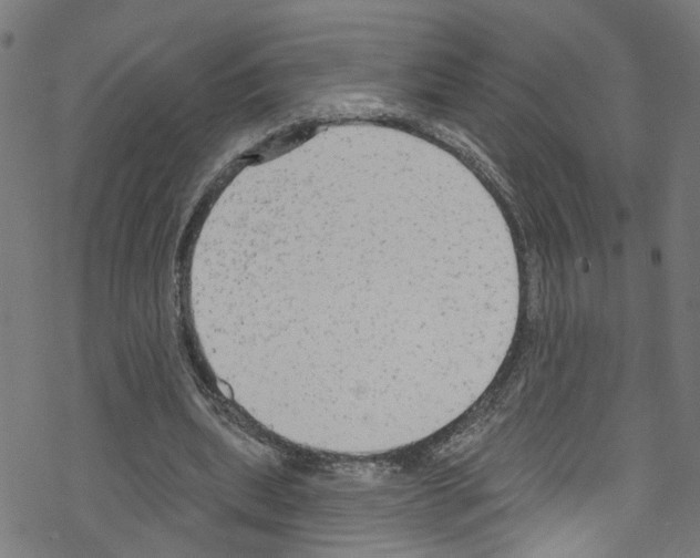 X0000076220439200611161003