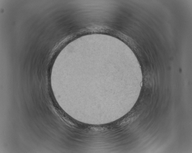 X0000076220442200611161003