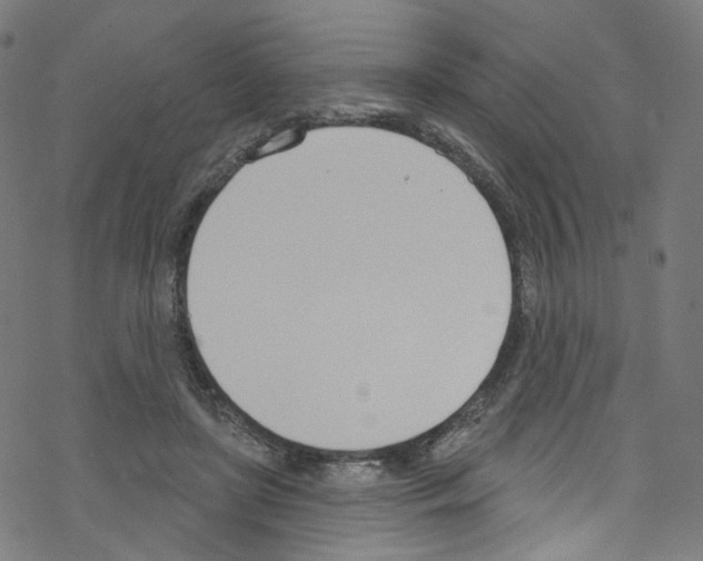 X0000076220451200611161003