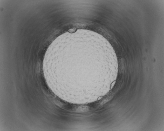 X0000076220463200611161003