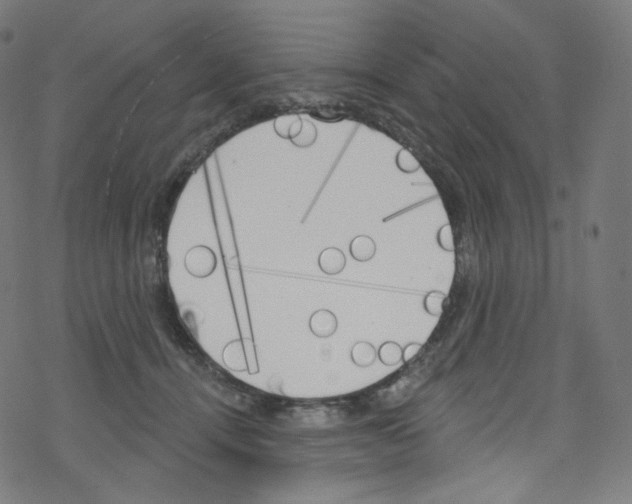 X0000076220464200611161003