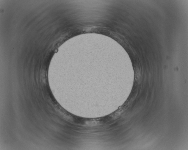 X0000076220470200611161003