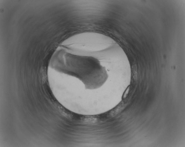 X0000076220471200611161003