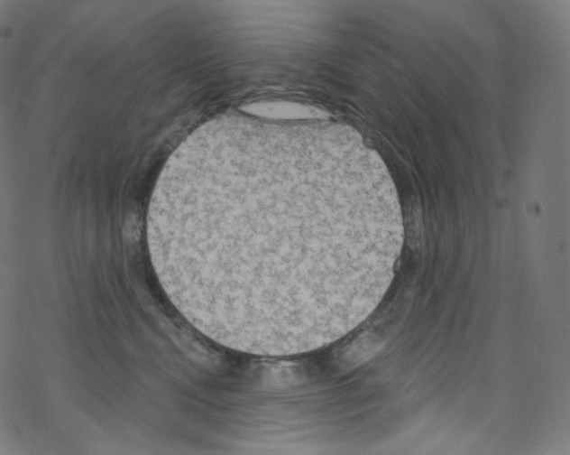 X0000076220472200611161004