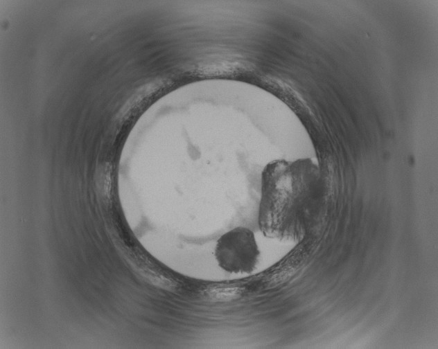 X0000076220495200611161003