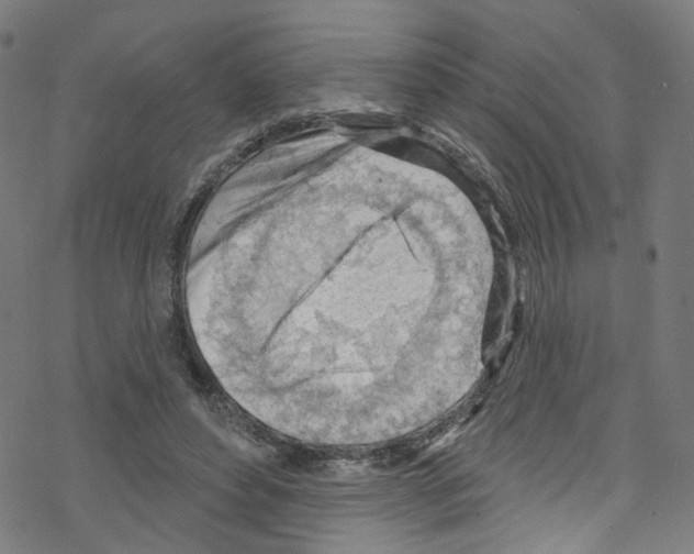 X0000076220496200611161003