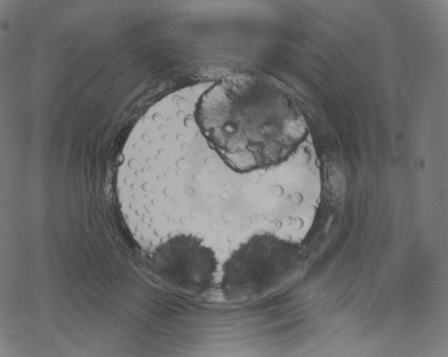 X0000076220507200611161002