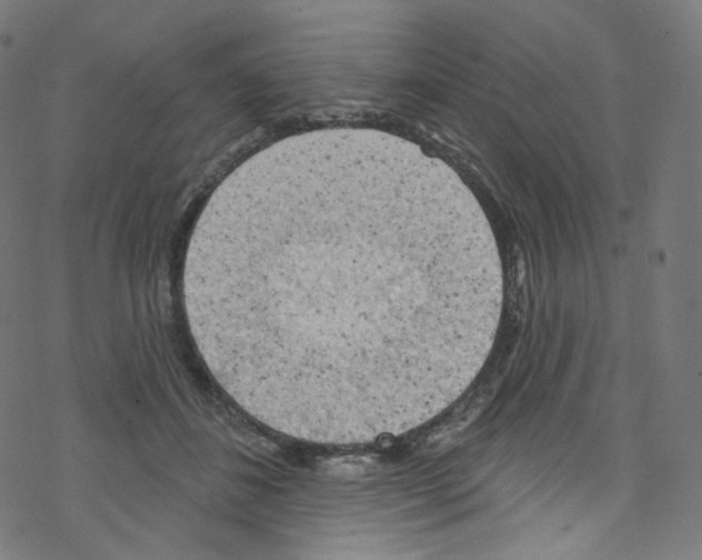 X0000076220508200611161002