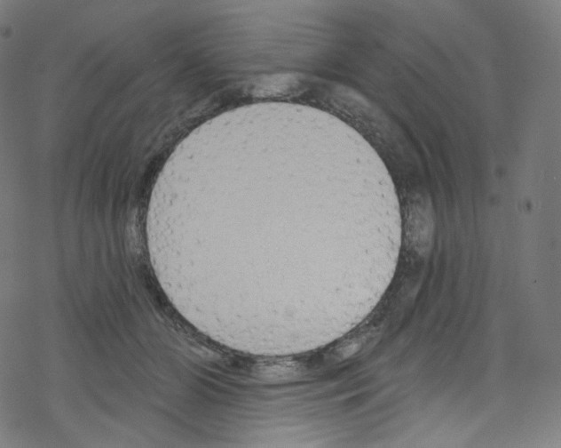X0000076220510200611161002