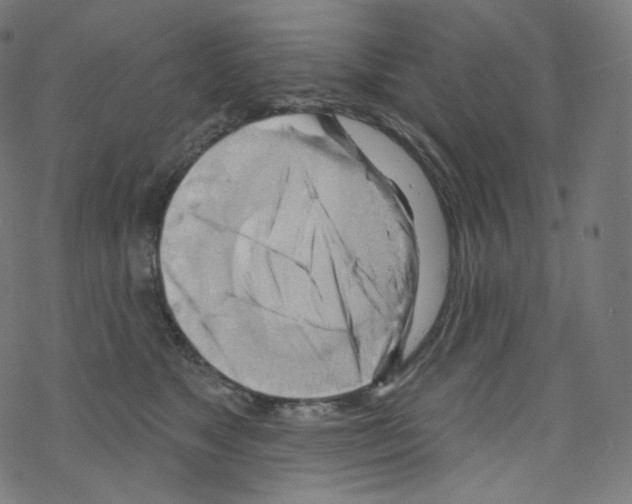 X0000076220517200611161002