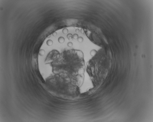 X0000076220527200611161002
