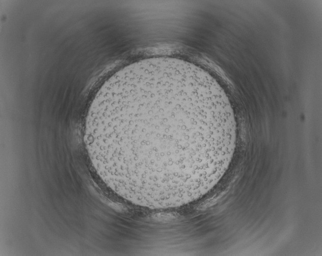 X0000076220537200611161001