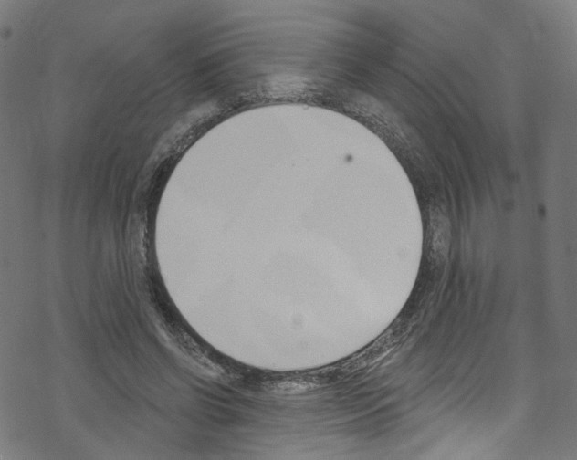 X0000076220542200611161002