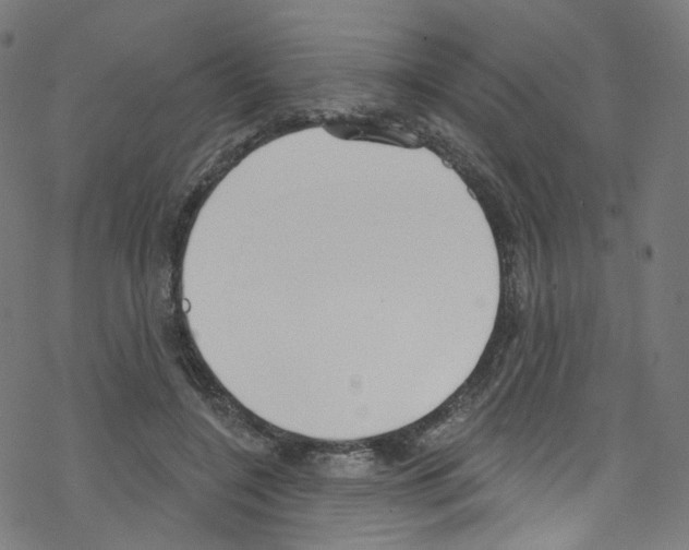 X0000076220548200611161002