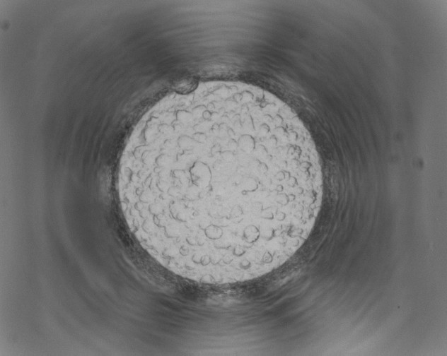 X0000076220550200611161002