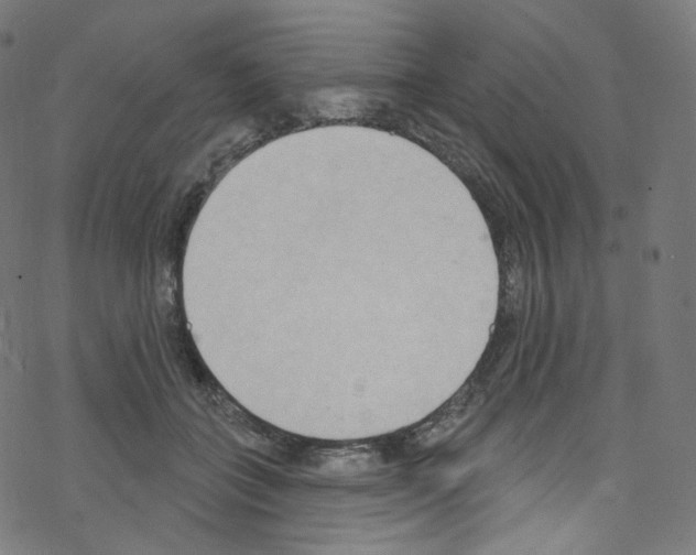 X0000076220555200611161002