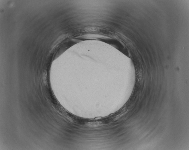 X0000076220556200611161002