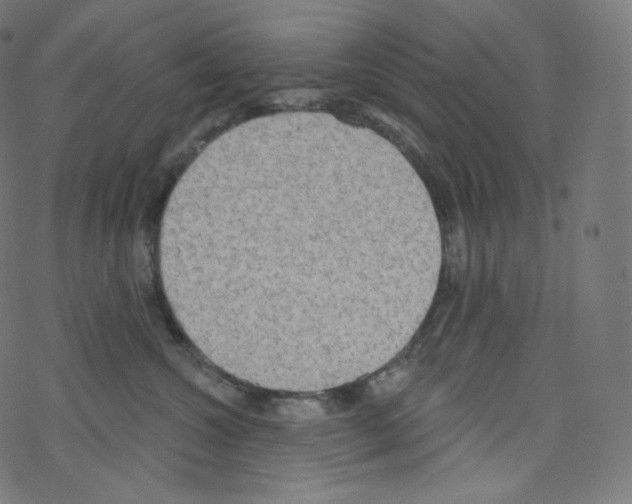 X0000076220572200611161002