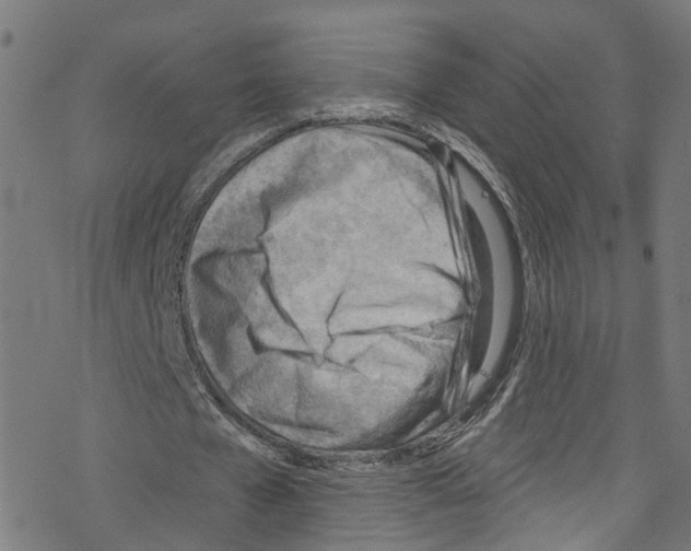 X0000076220577200611161001