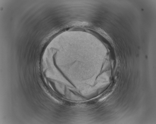 X0000076220581200611161001