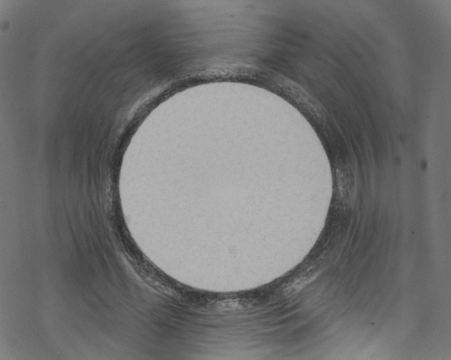 X0000076220588200611161001