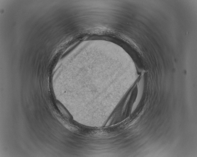 X0000076220589200611161001