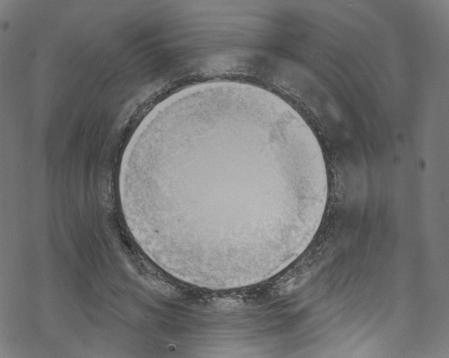 X0000076220592200611161001