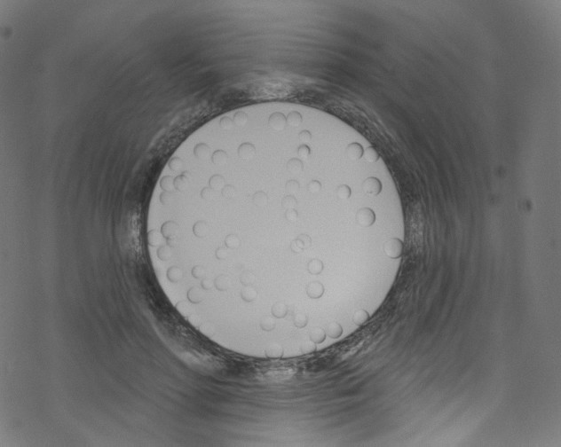 X0000076220598200611161001