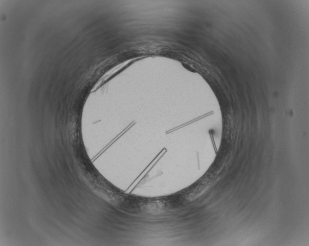 X0000076220600200611161001