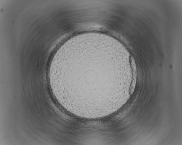 X0000076220629200611161000