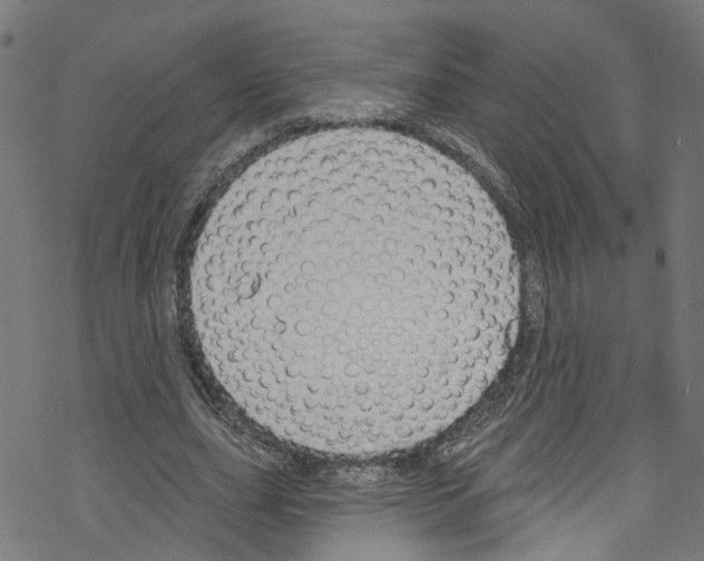 X0000076220631200611161000
