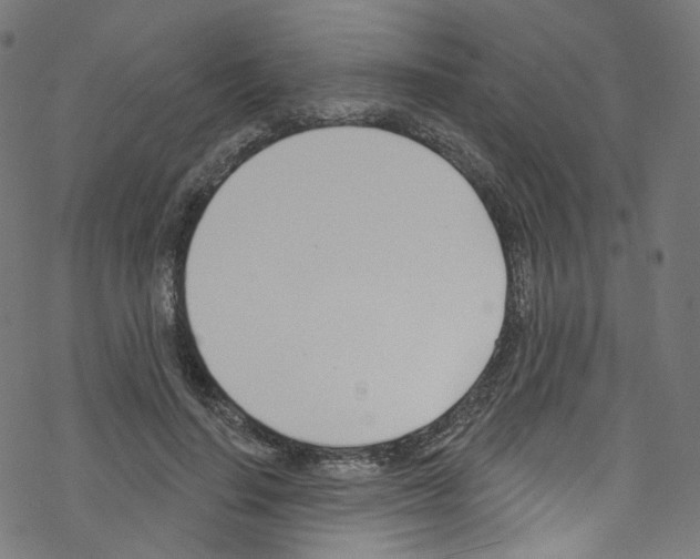 X0000076220644200611161000