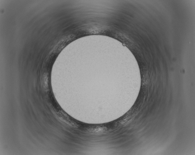 X0000076220646200611161000