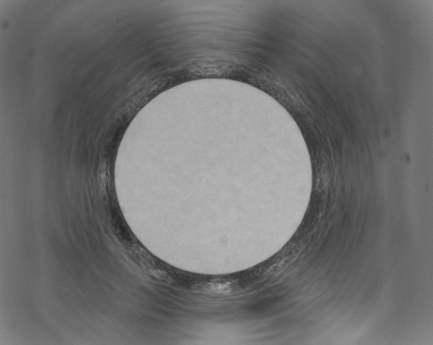 X0000076220647200611161000