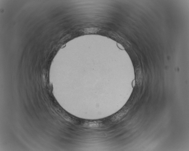 X0000076220655200611161000