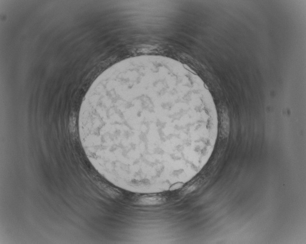 X0000076220657200611161000