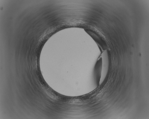 X0000076220685200611161000