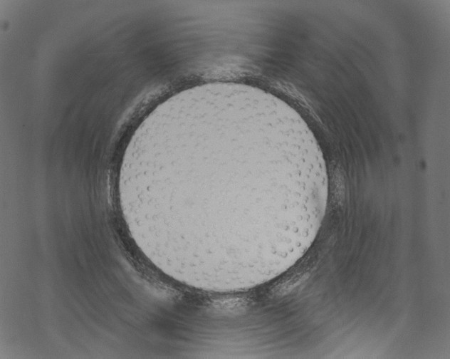 X0000076220686200611160959