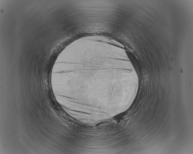 X0000076220688200611160959