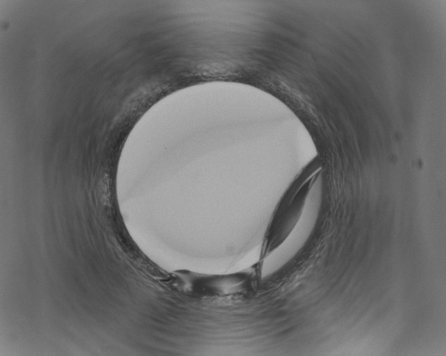 X0000076220689200611160959