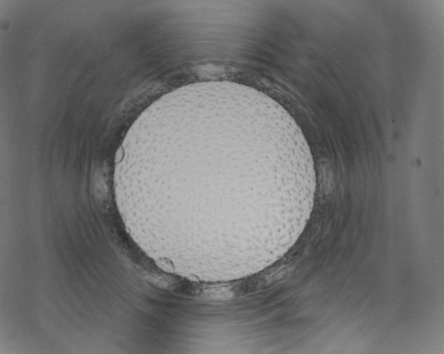 X0000076220702200611160959