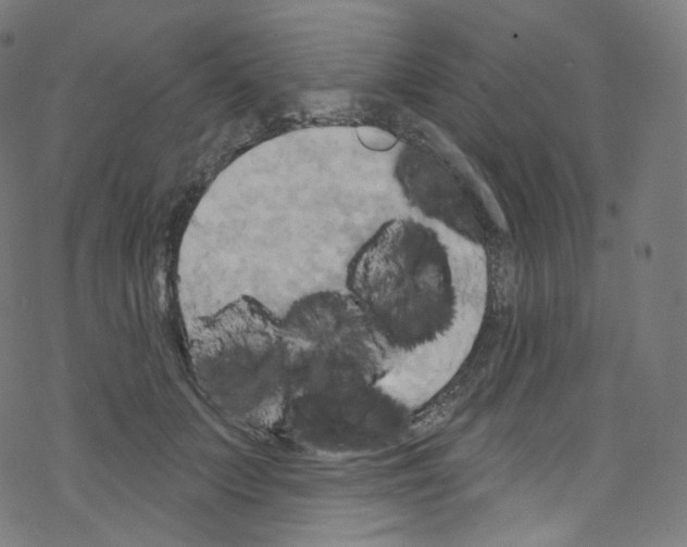 X0000076220703200611160959