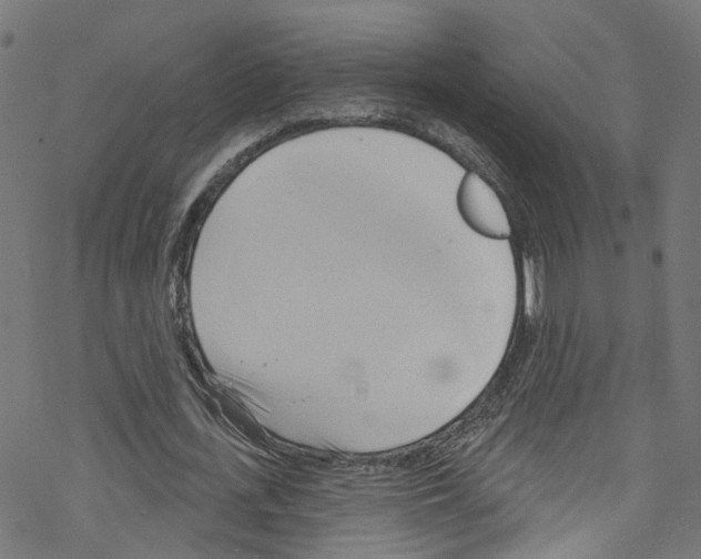 X0000076220723200611160958
