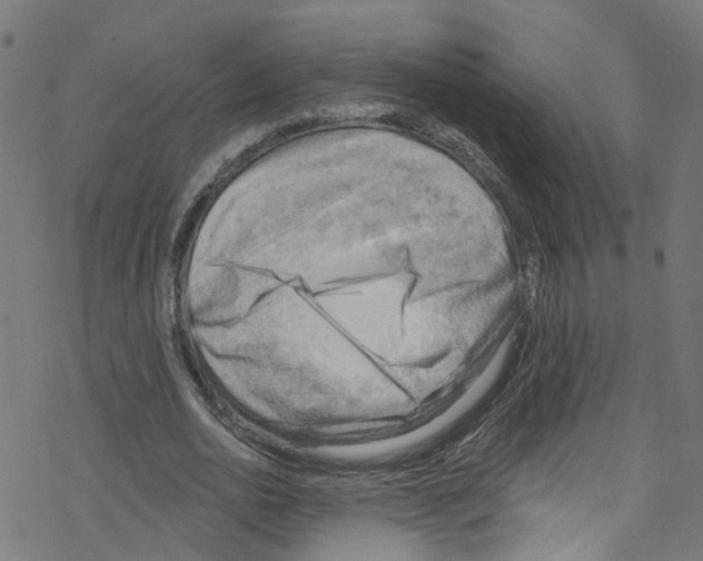X0000076220726200611160958