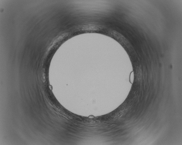 X0000076220731200611160958