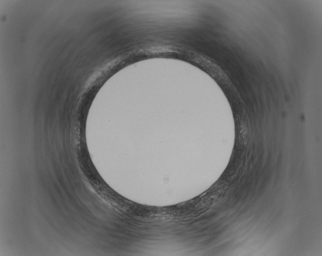 X0000076220732200611160958