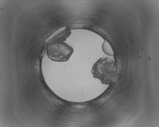 X0000076220737200611160958