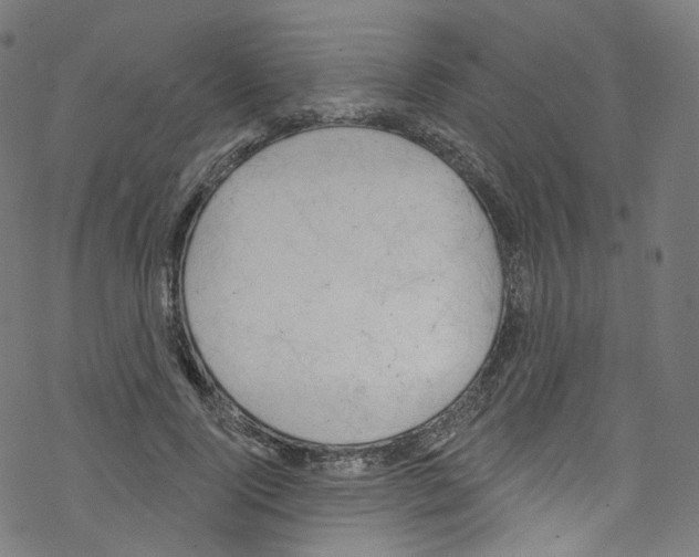 X0000076220740200611160958