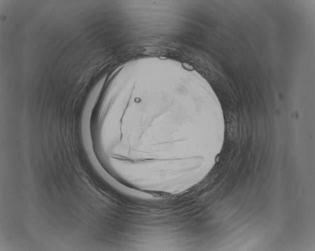 X0000076220748200611160959