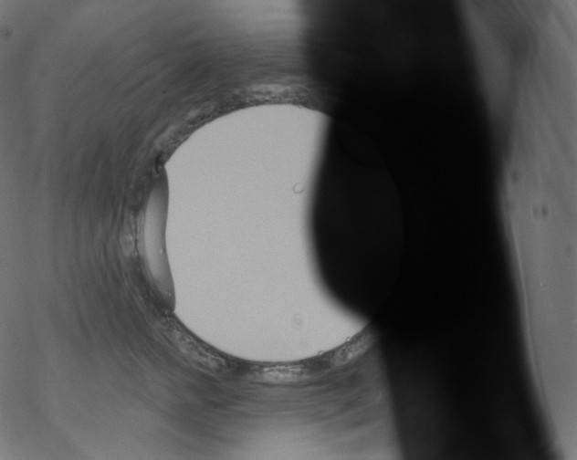 X0000076220758200611160959